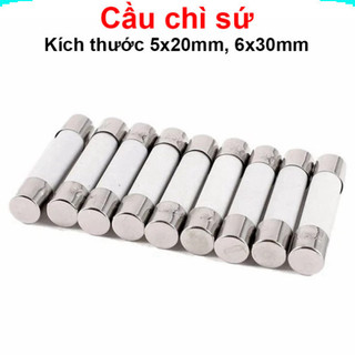 [Ưu đãi] (50 cái) Cầu chì sứ, cầu chì bảo vệ ngắn mạch 5x20mm, 6x30mm