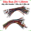 Dây Bus ZH 1.25mm, dây cắm header 1 đầu cái, 2 đầu cái