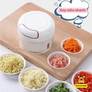 Dụng cụ xay tỏi Mini Food Chopper