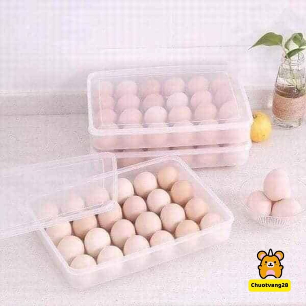 Hộp đựng trứng 1 tầng 24 quả