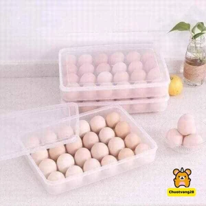Hộp đựng trứng 1 tầng 24 quả