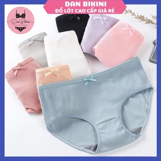 Quần Lót Nữ Cotton gân tăm kháng khuẩn đính nơ điệu đà dễ thương Danbikini mã A08