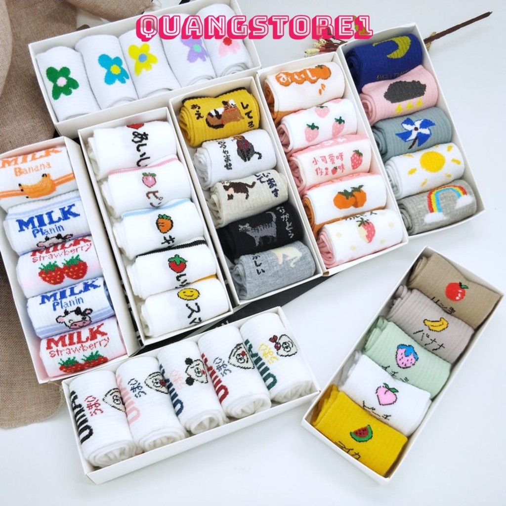 Set 5 Đôi Tất Vớ Nữ Cổ Ngắn Kèm Hộp Đựng Xinh Xắn
