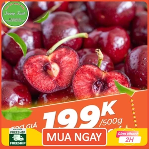 CHERRY MỸ GIÒN NGỌT