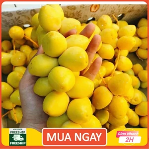 Chà là tươi hàng thái nhập ngọt giòn