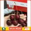 GIAO NHANH HCM - CHERRY MỸ NHẬP KHẨU