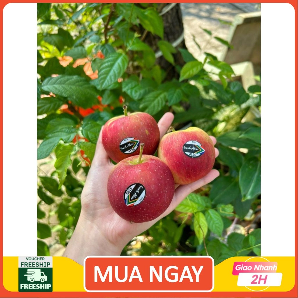 [ JENNY FRUIT ][ HÕA TỐC HCM ] Táo nam phi red fuji komco giòn ngọt 1kg