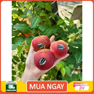 Táo nam phi red fuji komco giòn ngọt 1kg