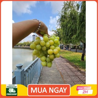 [ JENNY FRUIT ] GIAO NHANH HCM - Nho Không hạt ngọt 500GR/1 hộp