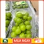 Nho xanh hộp 450gr bán rẻ chạy chương tương tác