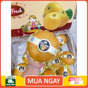 Lê nâu và lẻ sữa Hàn Quốc