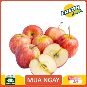 Táo túi Nam Phi Bịch 3kg - 1,5kg - 1kg