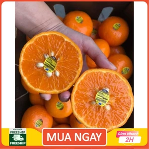 Set 1 kg Quýt Úc ngon ngọt