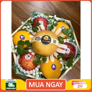 Khay trái cây nhập khẩu làm quà tặng MS01400