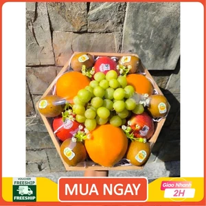 KHAY QUÀ TRÁI CÂY SIZE 30
