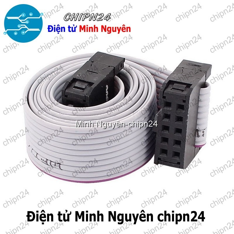 [1 sợi] Cáp ISP 10 pin 20CM - Cáp IDE 10P 2.54MM Dài 20CM | Shopee Việt Nam