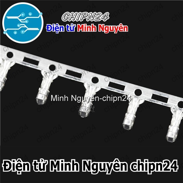 [50 cái] (I22) Lõi Header XH2.54 (Dùng bấm đầu dây điện cho Header XH2 ...