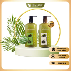 Dầu Gội, Xả Hachi chiết xuất từ Olive dành cho tóc gàu giảm ngứa Anti-Dandruff 350,500,800ml