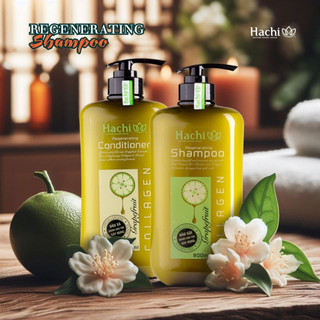 Dầu Gội, Xả thiên chiết xuất bơ bưởi cho tóc gãy rụng Hachi Regenerating