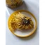 Trà hoa Cúc Hoàng Đế - 100% Cúc lửa vàng nguyên bông Hoàng Sơn - giải nhiệt - nóng gan- - giải độc