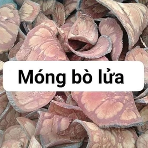 cây móng bò khô túi 1kg 500gram