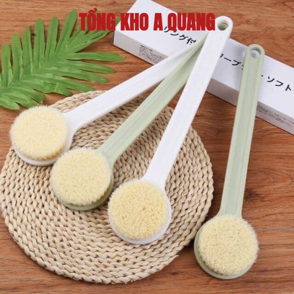 Cây Bàn Chải Cọ Lưng, Chà Lưng Siêm Mềm