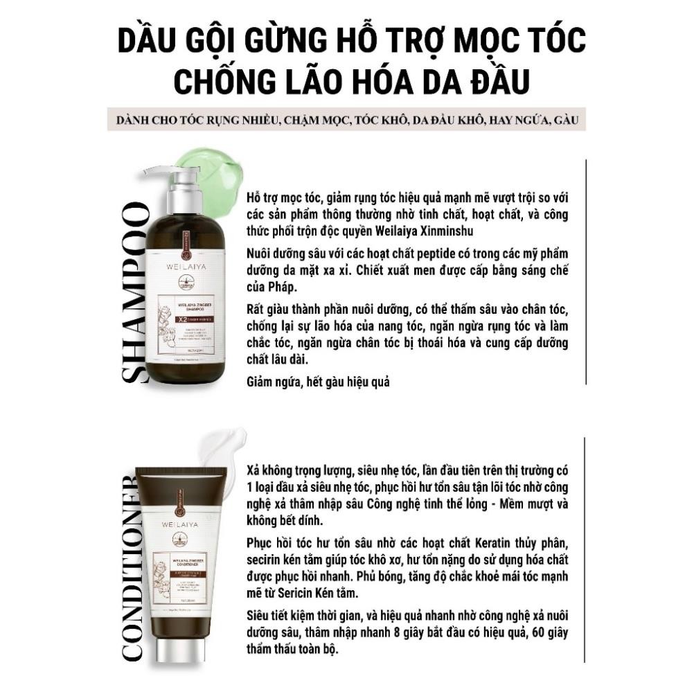 Cặp dầu gội xả tóc thảo dược Weilaiya gừng giúp kích thích mọc tóc - PHUONGANHOUSE