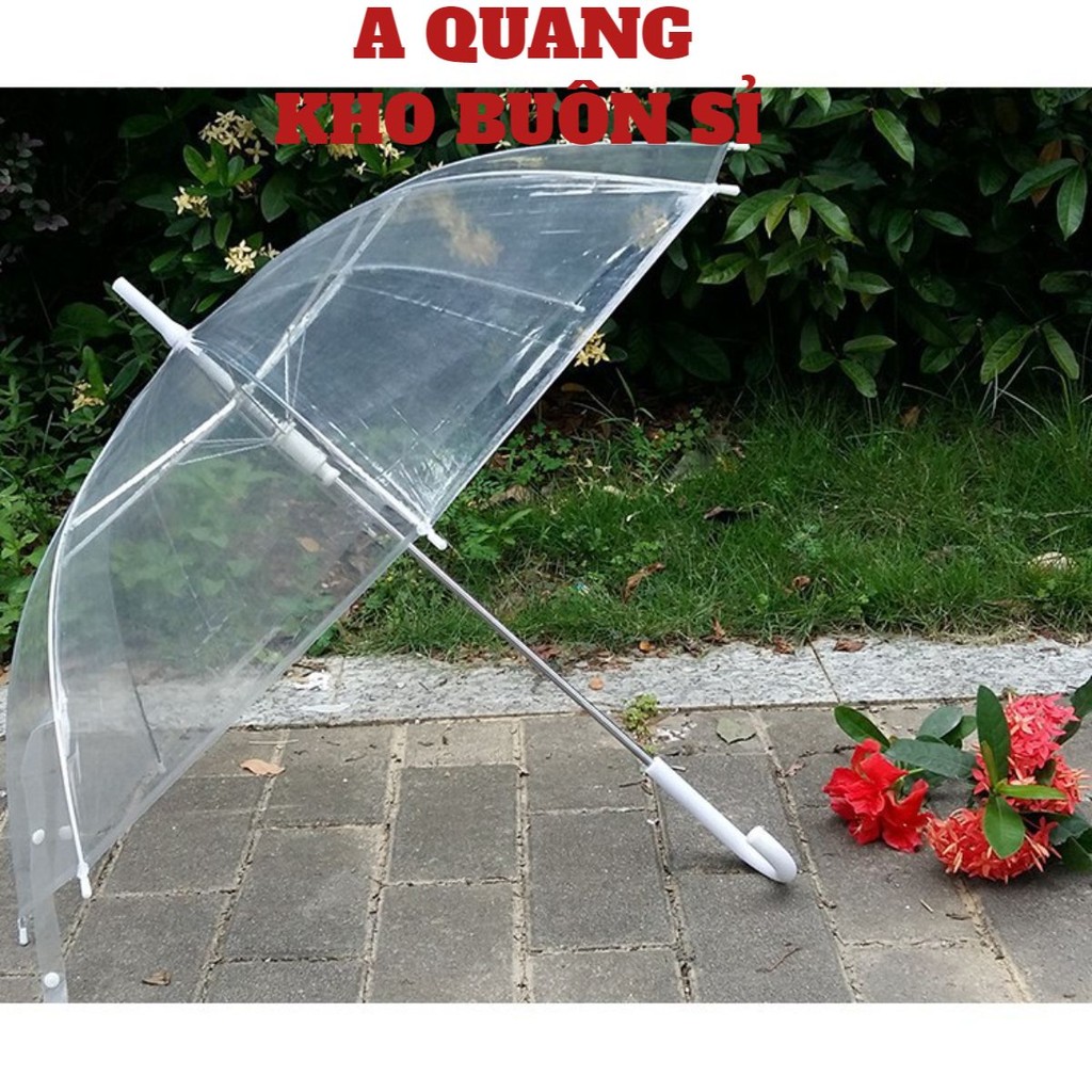 Sẵn hàng combo 20 ô trong suốt