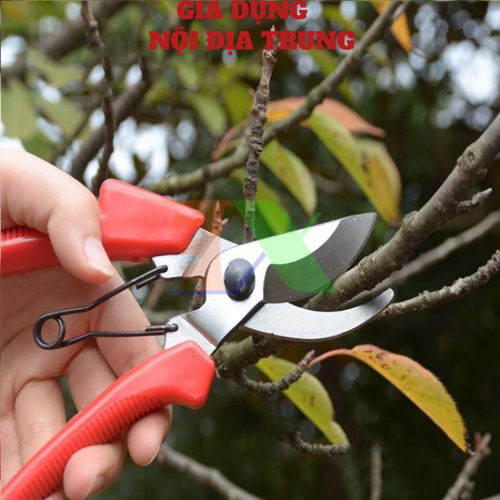 Kéo Cộng Lực Cắt Cành - Dụng Cụ Tỉa Cây Cảnh Hiện Đại, Kìm Bấm Tỉa Cây Cảnh - Dụng Cụ Tỉa Cành Hiệu Quả