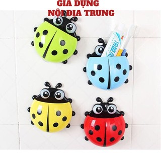[COMBO 10] Hộp để bàn chải và kem đánh răng ( frryship 125k)