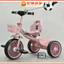 Xe Đạp Cho Bé 3 Bánh QUẢ BÓNG 1999 Cao Cấp, Phù Hợp Cho Bé Từ 2-6 Tuổi