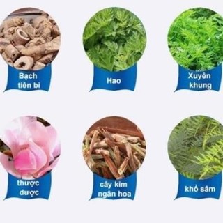 Kem viêm da cơ địa Nội địa Trung 30g tái tạo da hết ngứa Kem bôi nấm ngứa da nứt nẻ gót chân