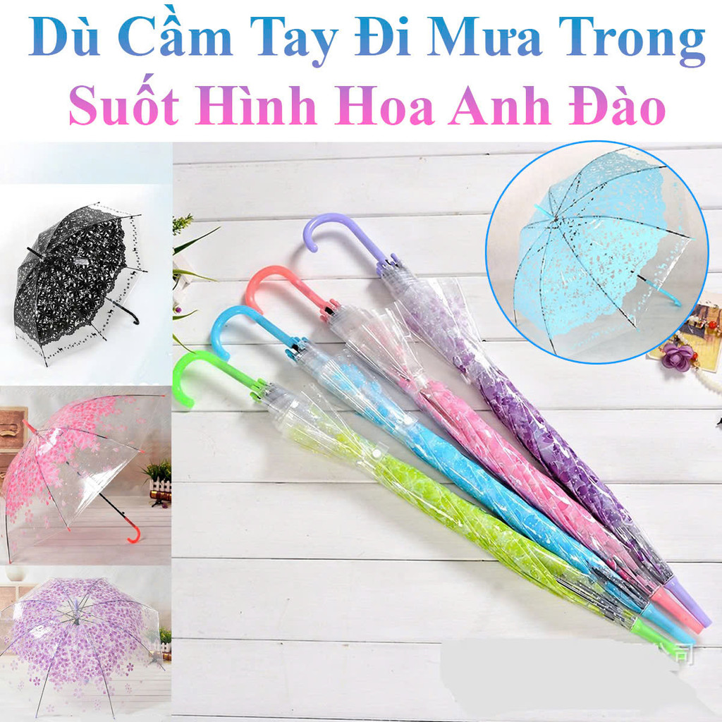 Dù Cầm Tay Đi Mưa Trong Suốt Hình Hoa Anh Đào Xinh Yêu