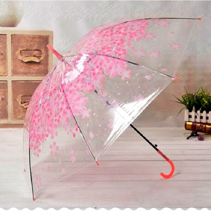Dù Cầm Tay Đi Mưa Trong Suốt Hình Hoa Anh Đào Xinh Yêu