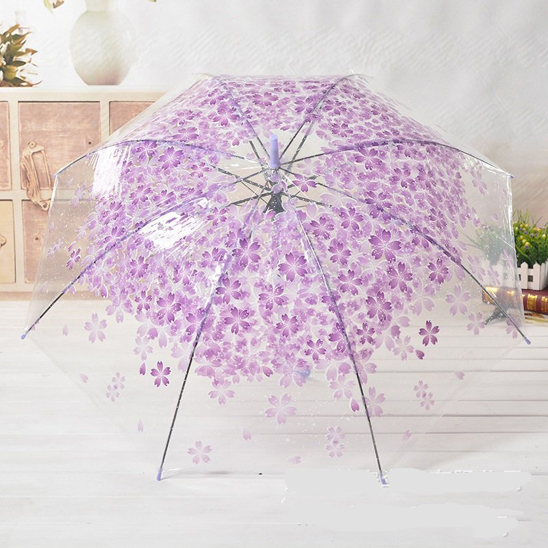 Dù Cầm Tay Đi Mưa Trong Suốt Hình Hoa Anh Đào Xinh Yêu