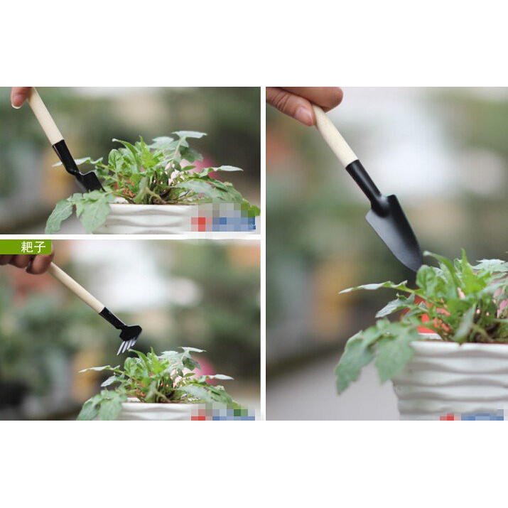 Bộ Dụng Cụ Làm Vườn Mini Nhỏ Gọn Dễ Sử Dụng