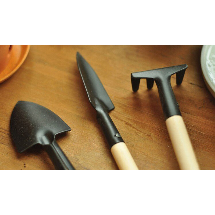 Bộ Dụng Cụ Làm Vườn Mini Nhỏ Gọn Dễ Sử Dụng
