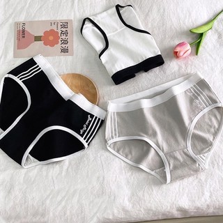 Combo 3 Quần lót nữ cotton viền thun co giãn - Set 3 Quần chip nữ đáy lót 2 lớp họa tiết basic L520