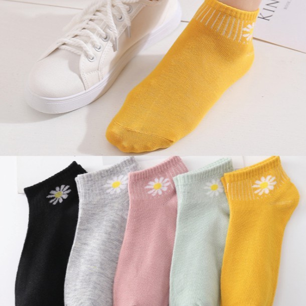 Bộ 10 Đôi Vớ Nữ Hình Hoa Cúc Mềm Nhẹ Co Giãn 4 Chiều