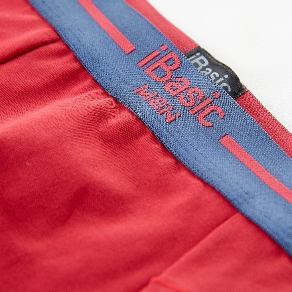 Ảnh Quần lót nam cotton USA 100% boxer trunk kháng khuẩn gấp 3 lần iBasic PANM056 3