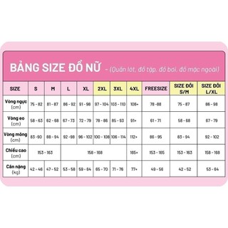 Quần lót nữ ren lưới iBasic hipster PANW132