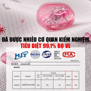 Bình Xịt Diệt Bọ Ve, Bọ Rệp, Mạt Bụi 330ml Chiết Xuất Thiên Nhiên Sử Dụng Tới 4000 Lần Life Plus - BXCT01