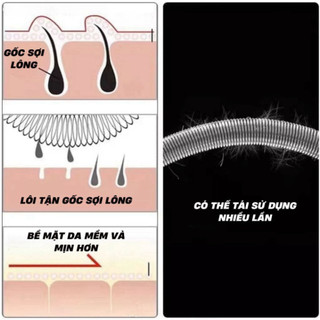 Tẩy Lông Con Lăn Lò Xo Cầm Tay Con Lăn Tẩy Lông Mặt Lò Xo Cầm Tay An Toàn, Cây Cạo Lông Mặt Life Plus - TL01