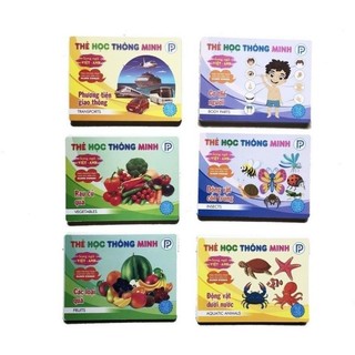 [Chuẩn NXB] Bộ thẻ học thông minh loại to - 15 chủ đề song ngữ Anh - Việt loại chuẩn theo PP Glenn Doman