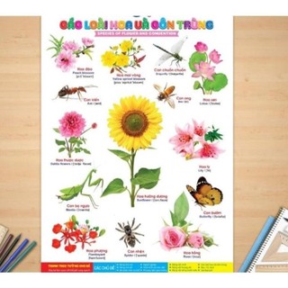 [Chuẩn NXB] Sách - Tranh treo tường cho bé 14 chủ đề song ngữ Anh Việt (kích thước 41x60cm)