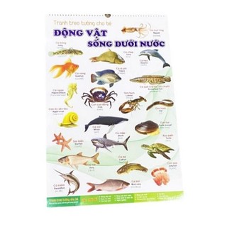 [Chuẩn NXB] Sách - Tranh treo tường cho bé 14 chủ đề song ngữ Anh Việt (kích thước 41x60cm)