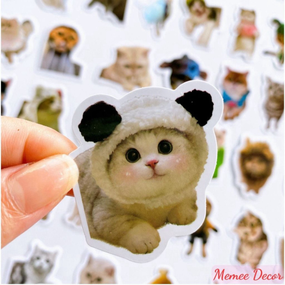 Set 100 sticker meme mèo đáng yêu cute trang trí điện thoại laptop sổ ...