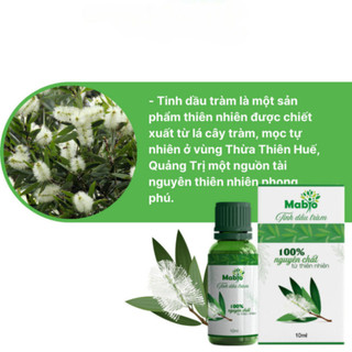 Tinh Dầu Tràm MABIO Giúp Giữ Ấm Cơ Thể Hương Thơm Dịu Nhẹ An Toàn Với Trẻ Nhỏ MABIO Chính Hãng