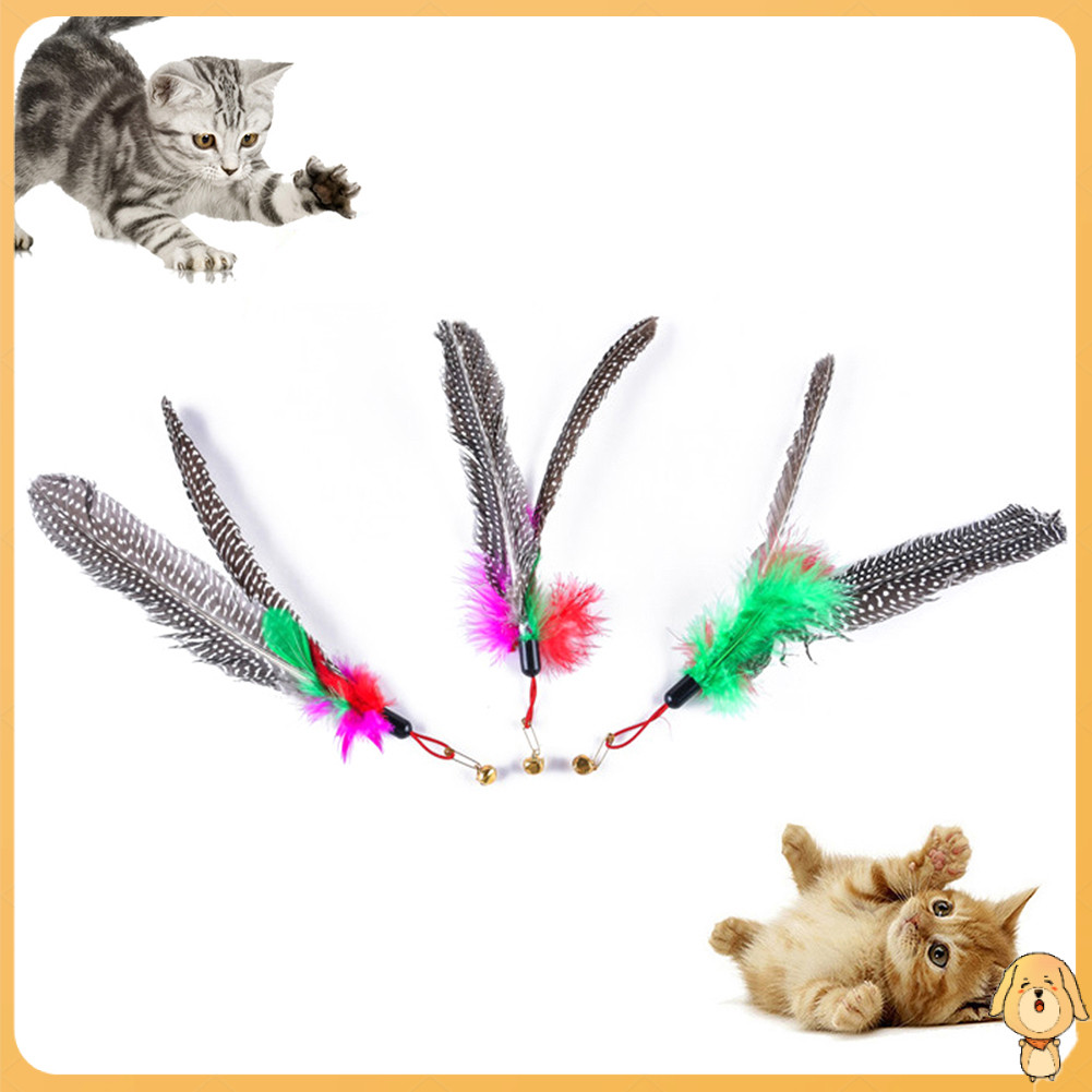 Pet Cat Kitten Stick Wand Bell Feather Thay thế đầu chơi đồ chơi tương ...
