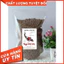 GIÁ HỦY DIỆT-5kg-Cám cá koi King Feed [5kg -5 túi 5 kg] HÀNG CHÍNH HÃNG